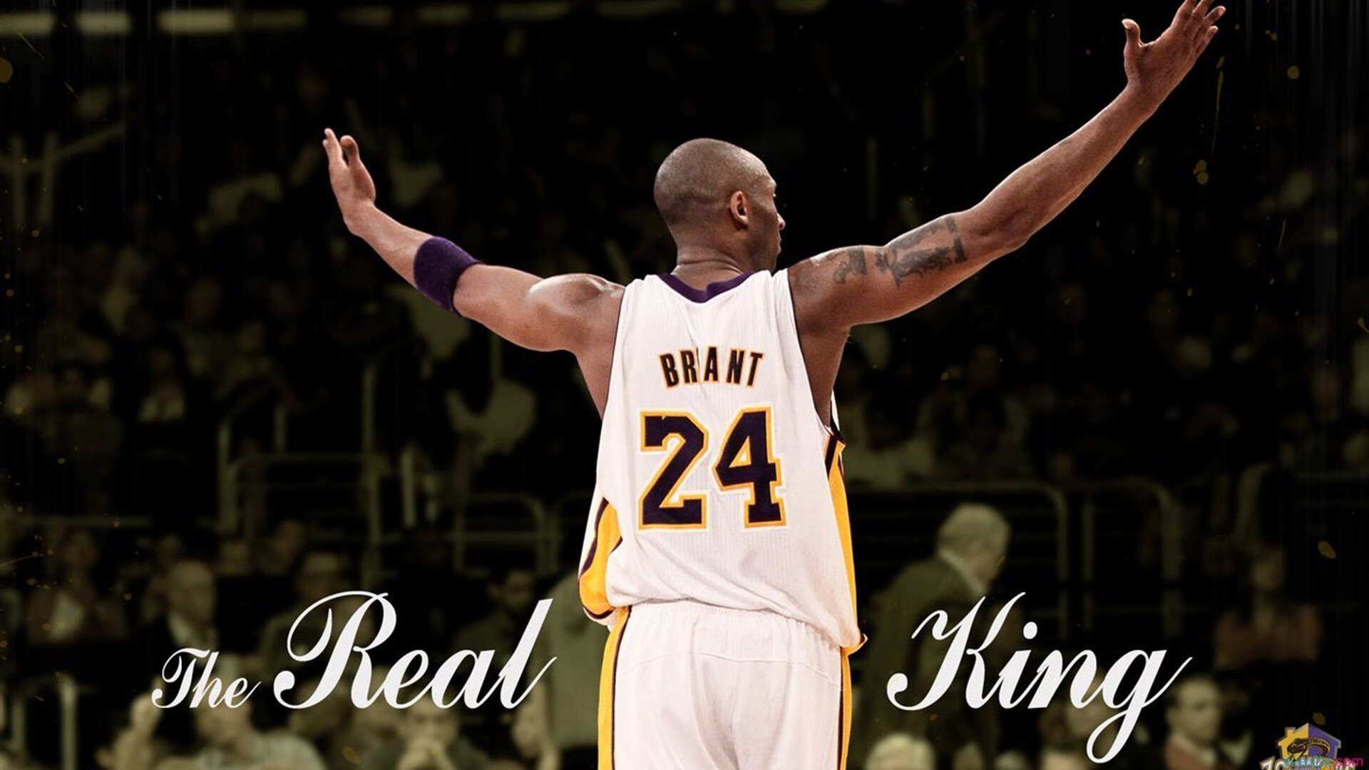 戴维·帕特森通过卓越的决策和精准的传球，帮助袋鼠队占据上风